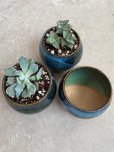 Load image into Gallery viewer, Small succulent pot planter garden

