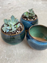 Load image into Gallery viewer, Small succulent pot planter garden
