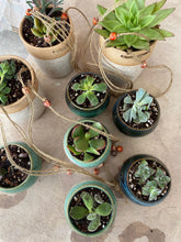 Load image into Gallery viewer, Small succulent pot planter garden
