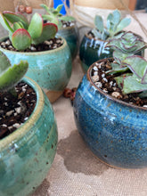 Load image into Gallery viewer, Small succulent pot planter garden
