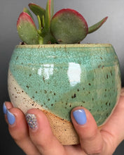 Load image into Gallery viewer, Small succulent pot planter garden
