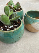 Load image into Gallery viewer, Small succulent pot planter garden
