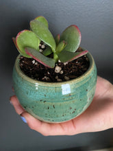 Load image into Gallery viewer, Small succulent pot planter garden
