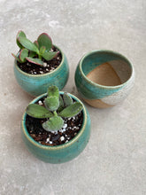 Load image into Gallery viewer, Small succulent pot planter garden
