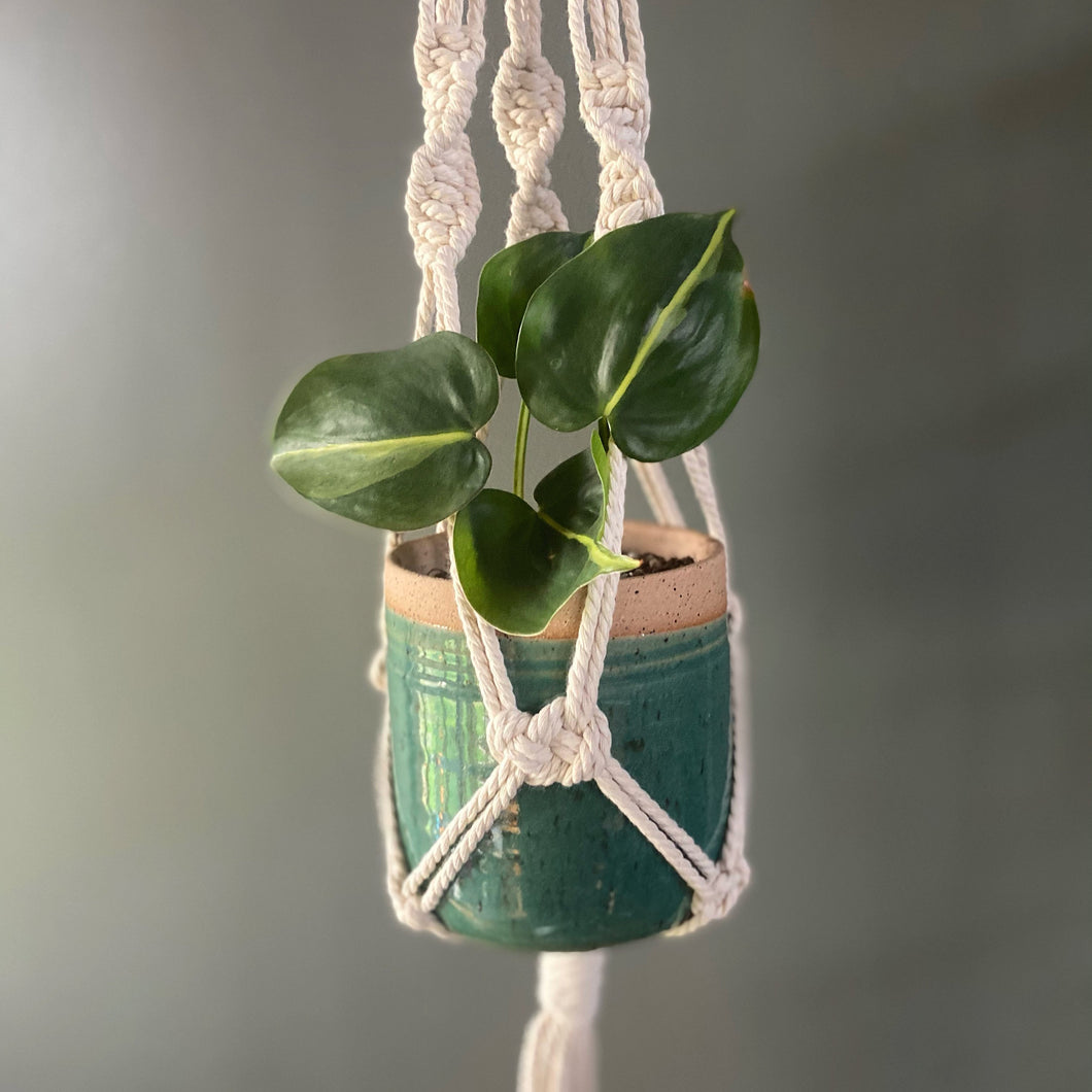 Macrame and ceramic hanging plant holder 