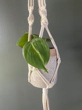 Load image into Gallery viewer, Macrame and ceramic hanging plant holder 
